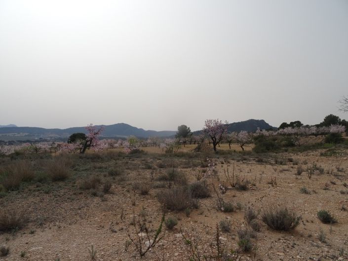 Image No.6-Land for sale