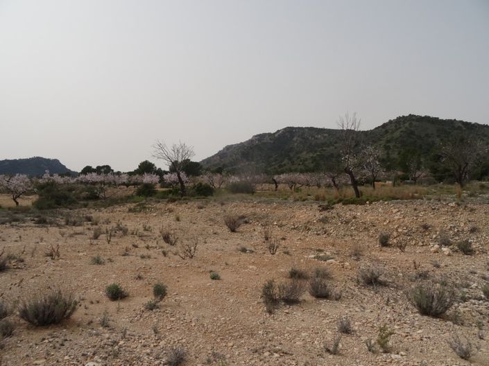 Image No.7-Land for sale