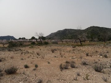 1047parcelaluiscf13386