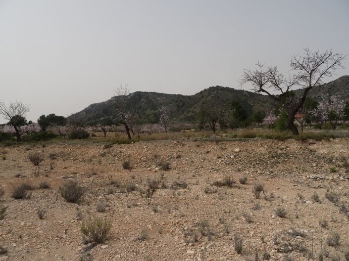 Image No.8-Land for sale