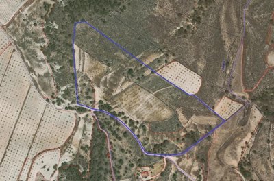 1169parcelanicosan3270325120614125535min