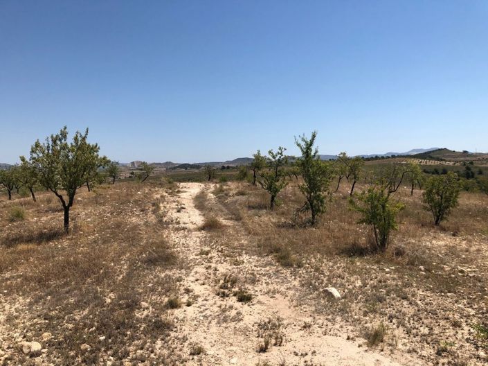 Image No.8-Land for sale