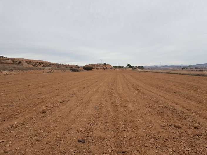 Image No.3-Terre à vendre à Pinoso