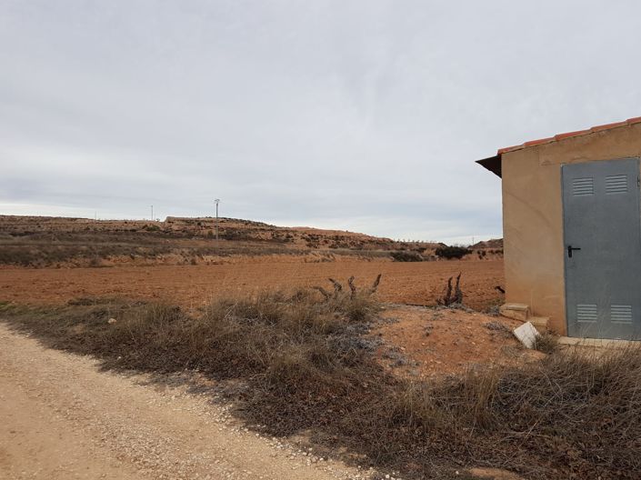 Image No.5-Terre à vendre à Pinoso