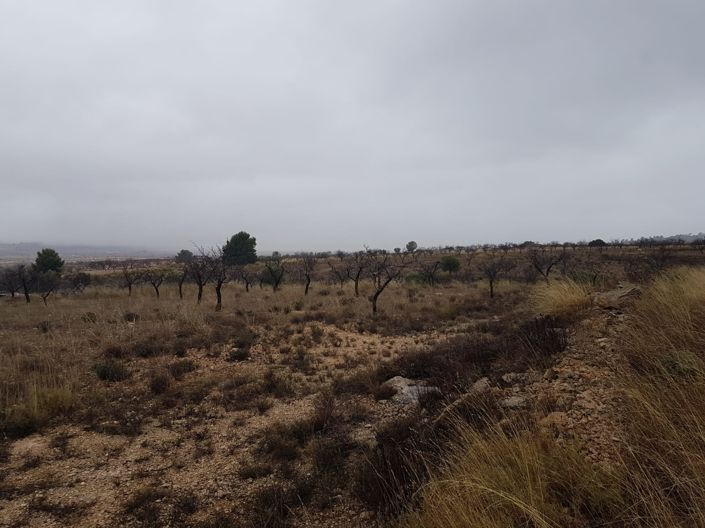 Image No.2-Land for sale