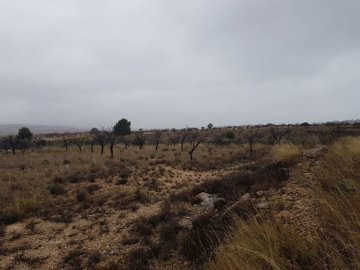 2602parcelaibanezgrande080121103834f2b79df814