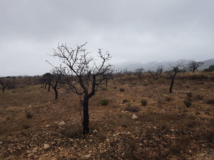 Image No.3-Land for sale