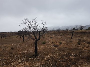 2602parcelaibanezgrande0801211038371daa927c3b