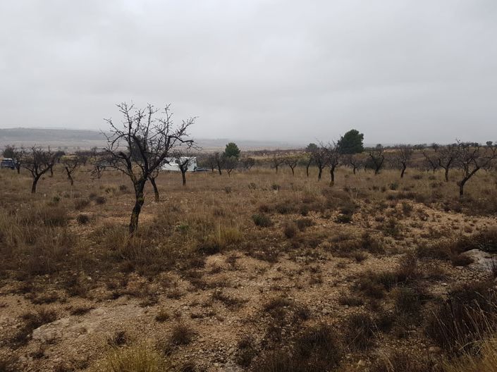 Image No.4-Land for sale