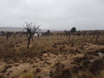 2602parcelaibanezgrande0801211038425e0238f56b