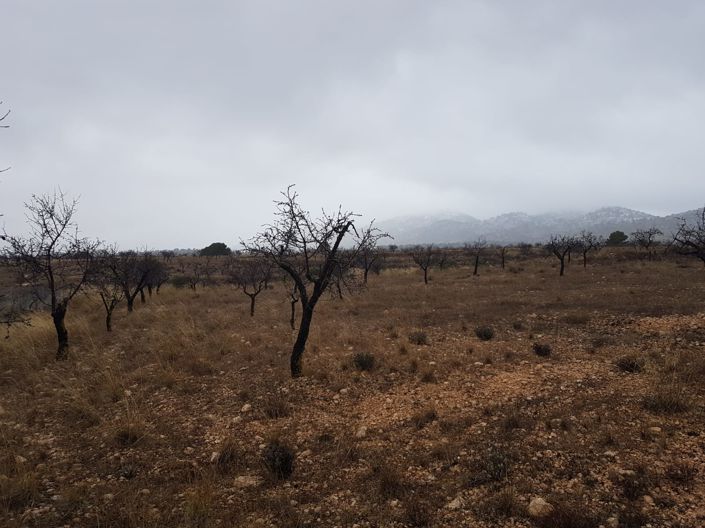 Image No.5-Land for sale