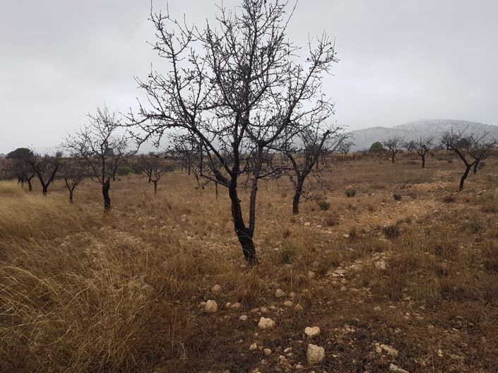 Image No.6-Land for sale