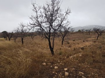 2602parcelaibanezgrande080121103834382d933d3f