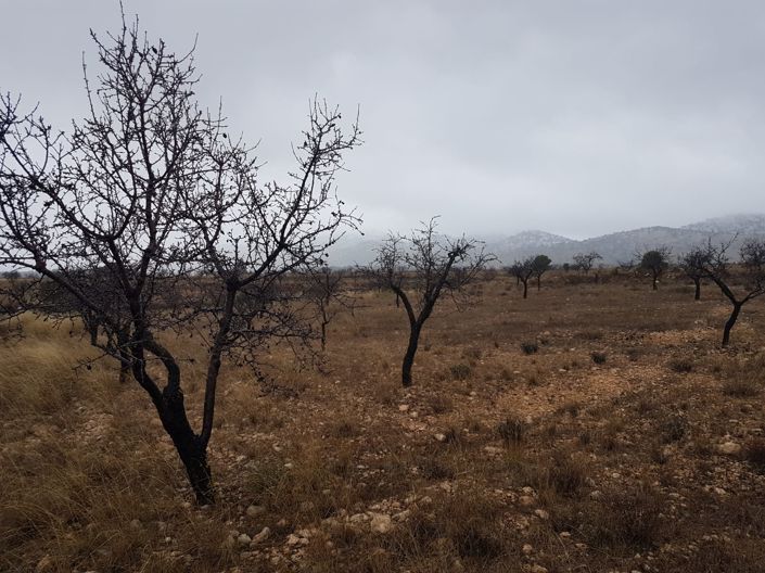 Image No.7-Land for sale