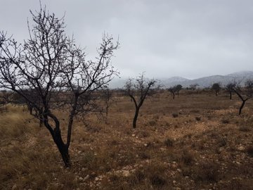 2602parcelaibanezgrande08012110384963120f7af6