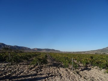 978parcelacasaplazacf12812