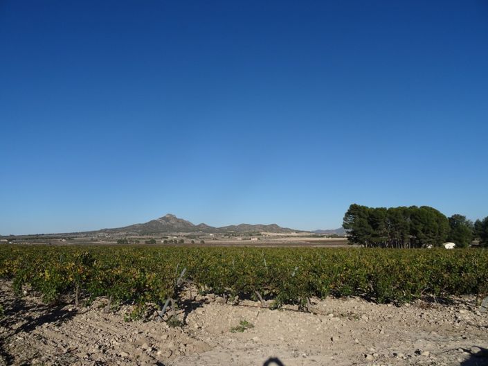 Image No.3-Land for sale