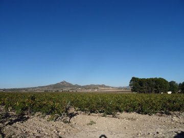 978parcelacasaplazacf12813