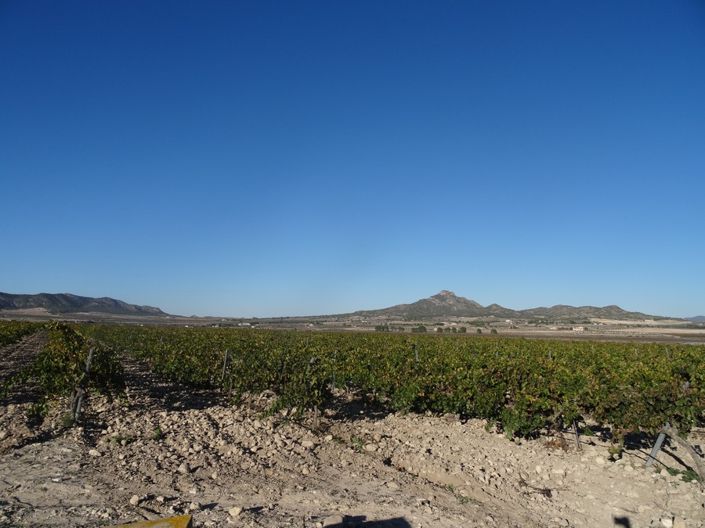 Image No.4-Land for sale