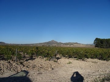 978parcelacasaplazacf12811