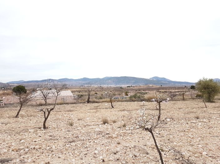 Image No.1-Land for sale