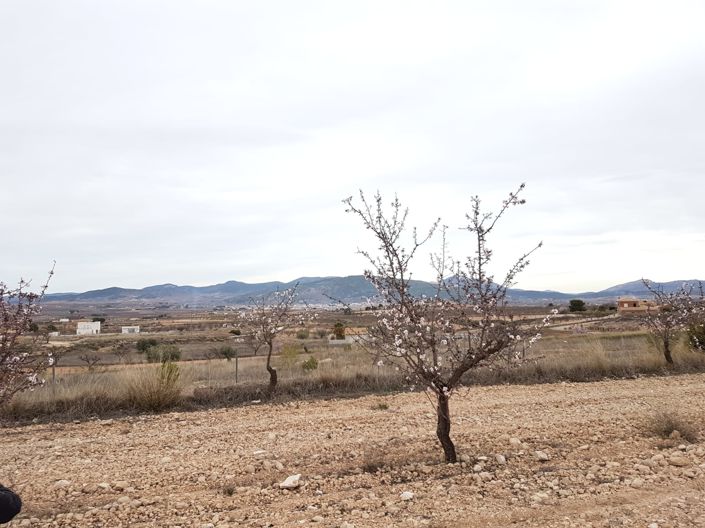 Image No.5-Land for sale