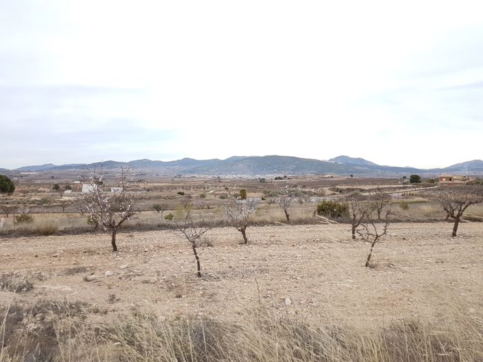 Image No.6-Land for sale