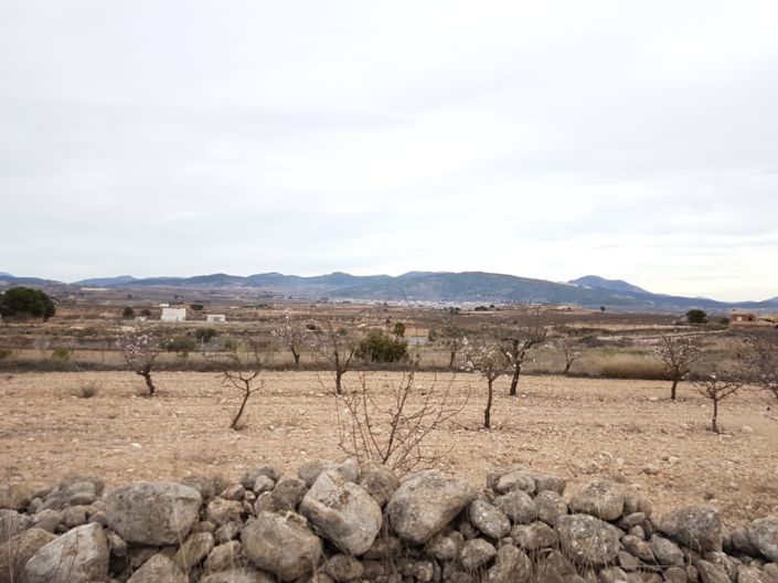 Image No.7-Land for sale