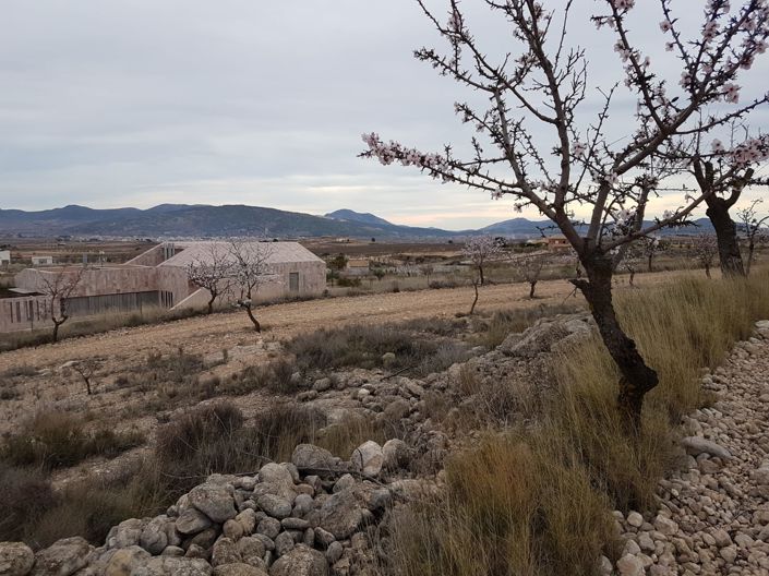 Image No.9-Land for sale