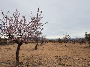 2663buildingplot1602211712005f79bf6dc4954ff49