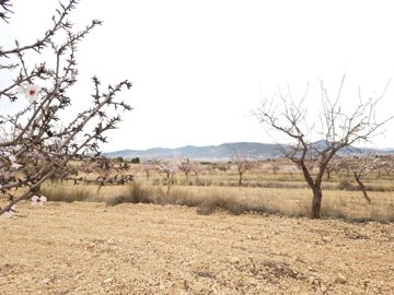 2663buildingplot16022117115907fb0e8020034b55a