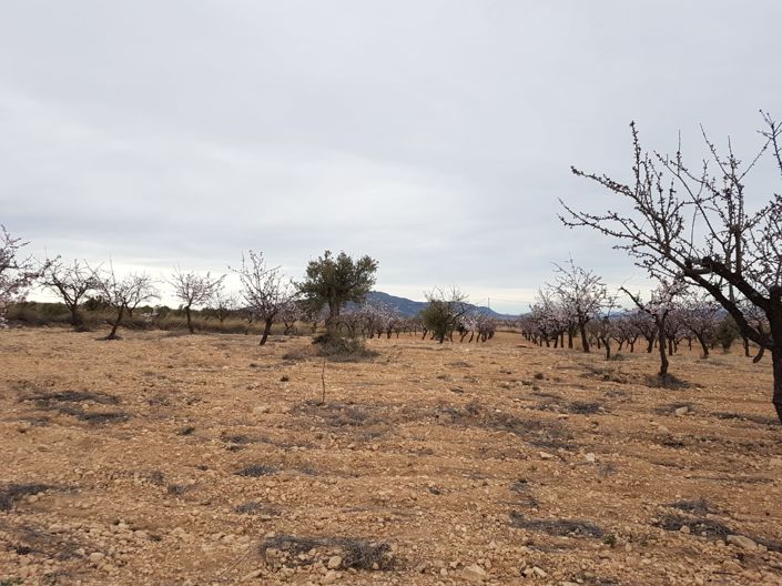 Image No.6-Land for sale