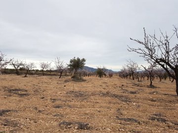 2663buildingplot16022117120031fc663a87734ba8a