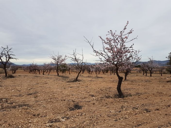 Image No.7-Land for sale