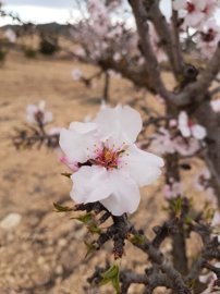 2663buildingplot160221171203c9c16110f15e47e99