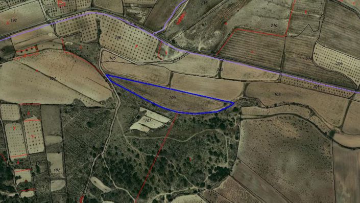 Image No.2-Terre à vendre à Pinoso