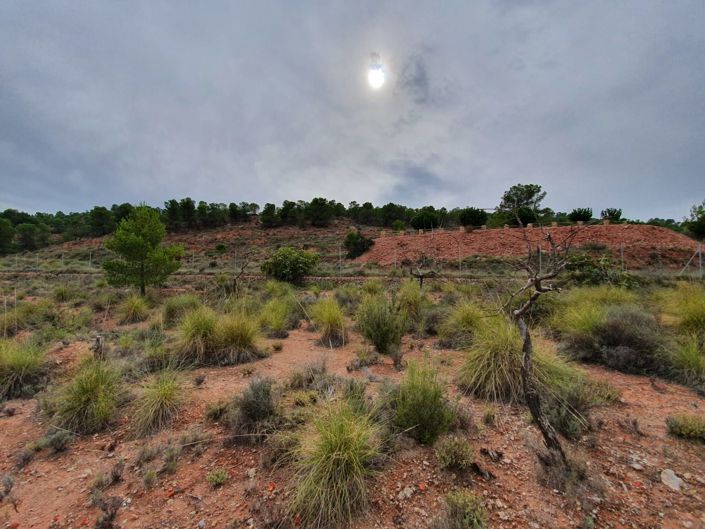 Image No.10-Land for sale