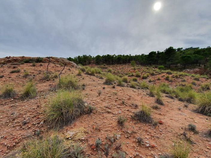 Image No.12-Land for sale