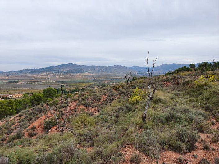 Image No.13-Land for sale