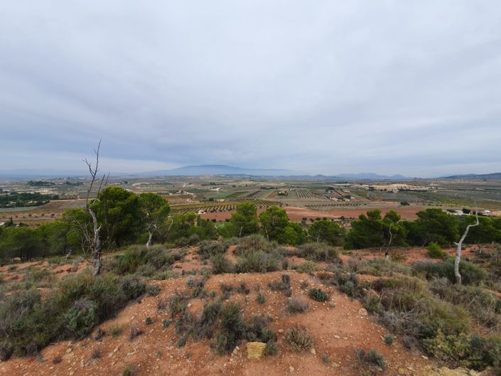 Image No.14-Land for sale