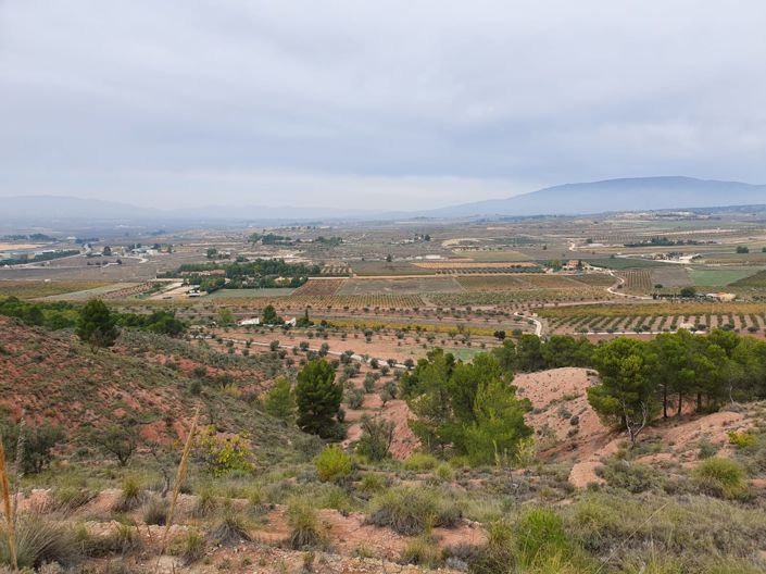 Image No.15-Land for sale