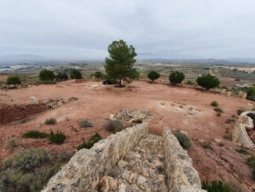 Country Fincas most sold property