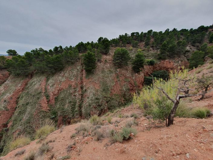 Image No.4-Land for sale