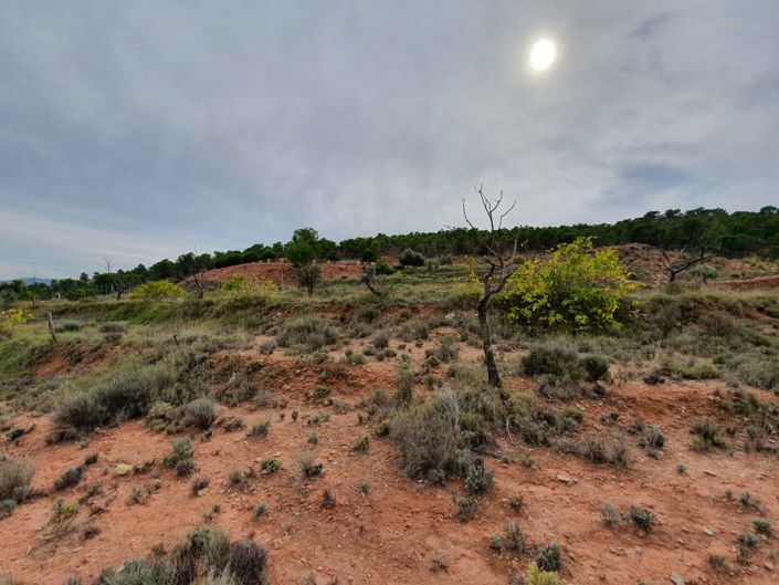 Image No.7-Land for sale