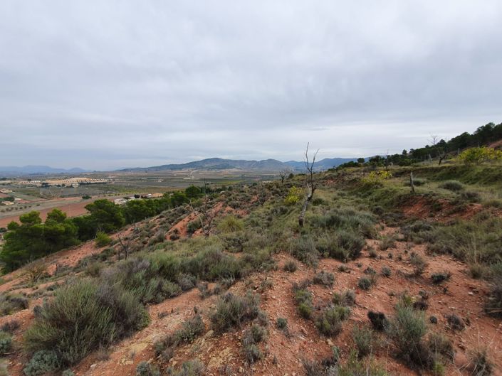 Image No.8-Land for sale