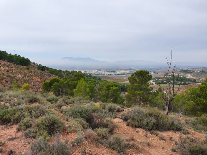 Image No.9-Land for sale