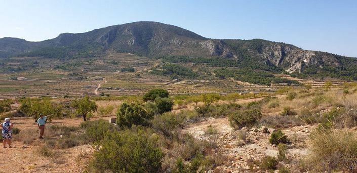 Image No.1-Land for sale