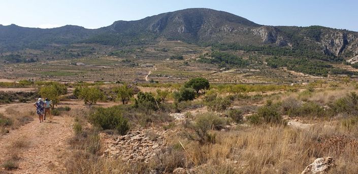 Image No.2-Land for sale