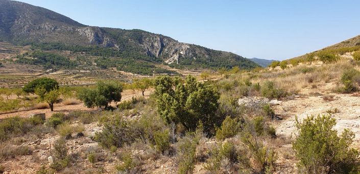 Image No.3-Land for sale