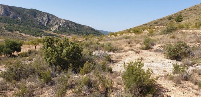 Image No.4-Land for sale